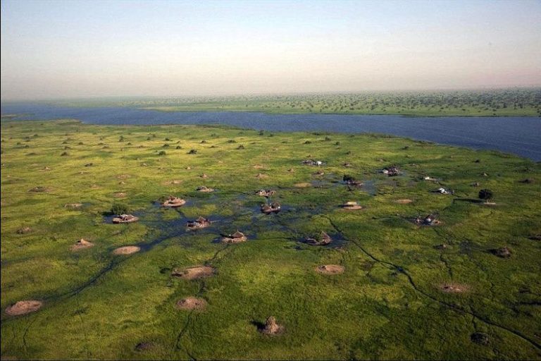 The largest wetlands in Africa, Sudd. | SchoolForAfrica.org — Giving ...