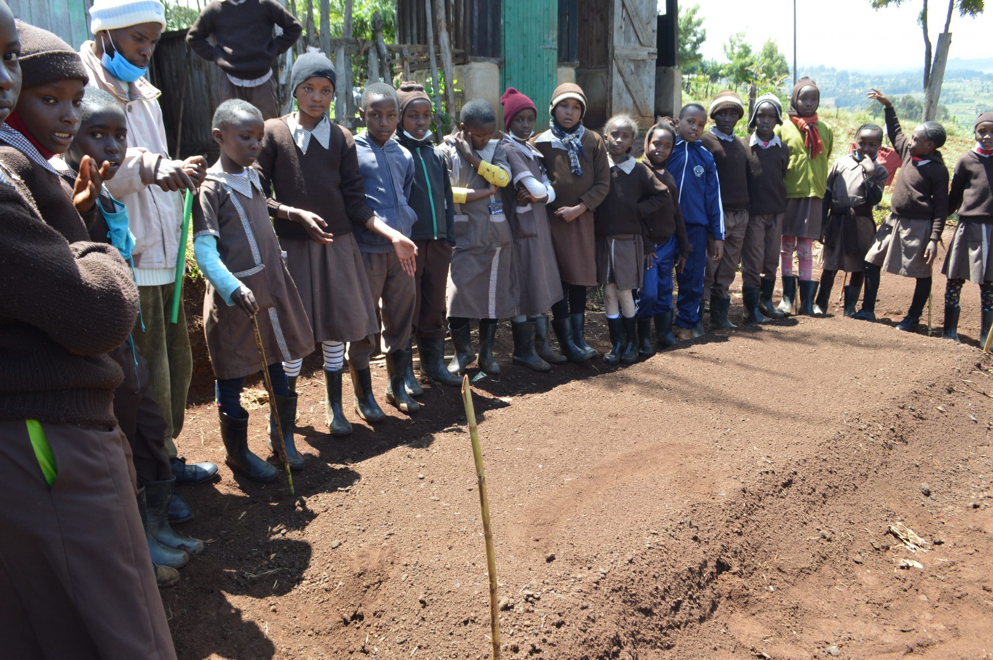 How to prepare a nursery bed (Agriculture Grade 4) SchoolForAfrica