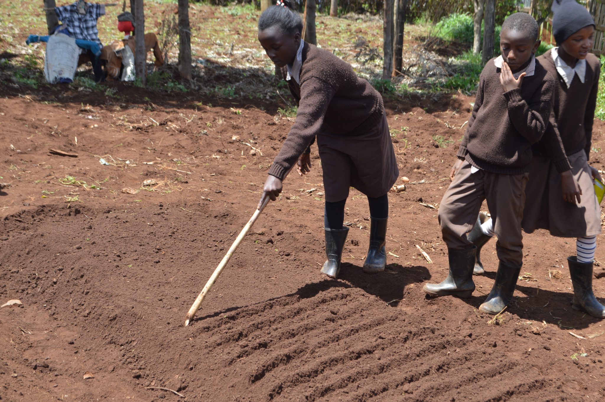 How to prepare a nursery bed (Agriculture Grade 4) SchoolForAfrica